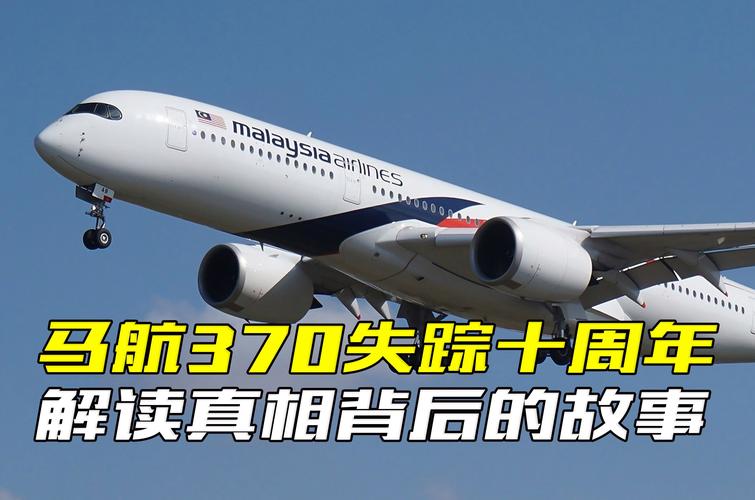 揭秘马航事件真相，揭秘马航事件真相是什么  第6张