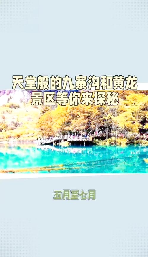 黄龙天气预报11月？黄龙天气预报11月12日？  第1张