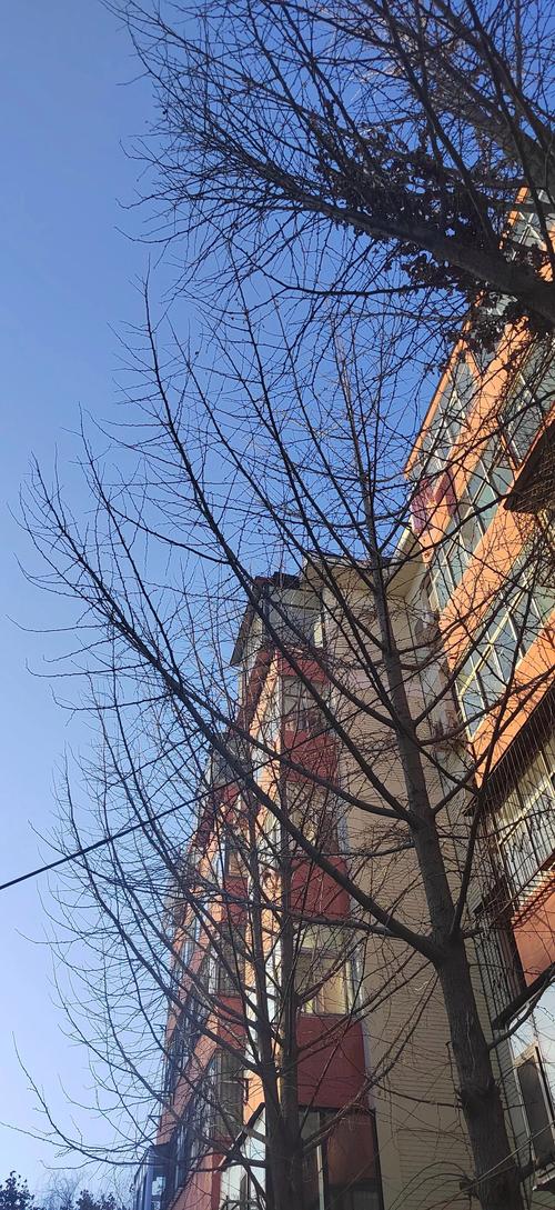 邯郸20天天气预报？20号邯郸天气预报？  第1张
