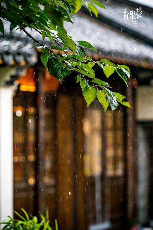 常州天气24小时内，常州24小时天气情况  第5张