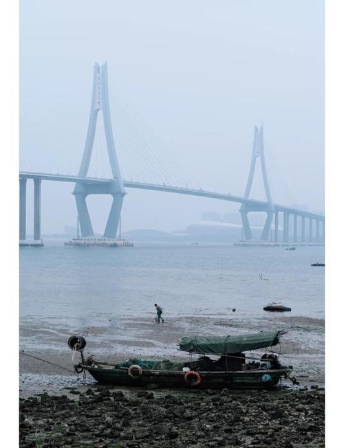 东海岛天气预报实时，东海岛这几天的天气？  第3张