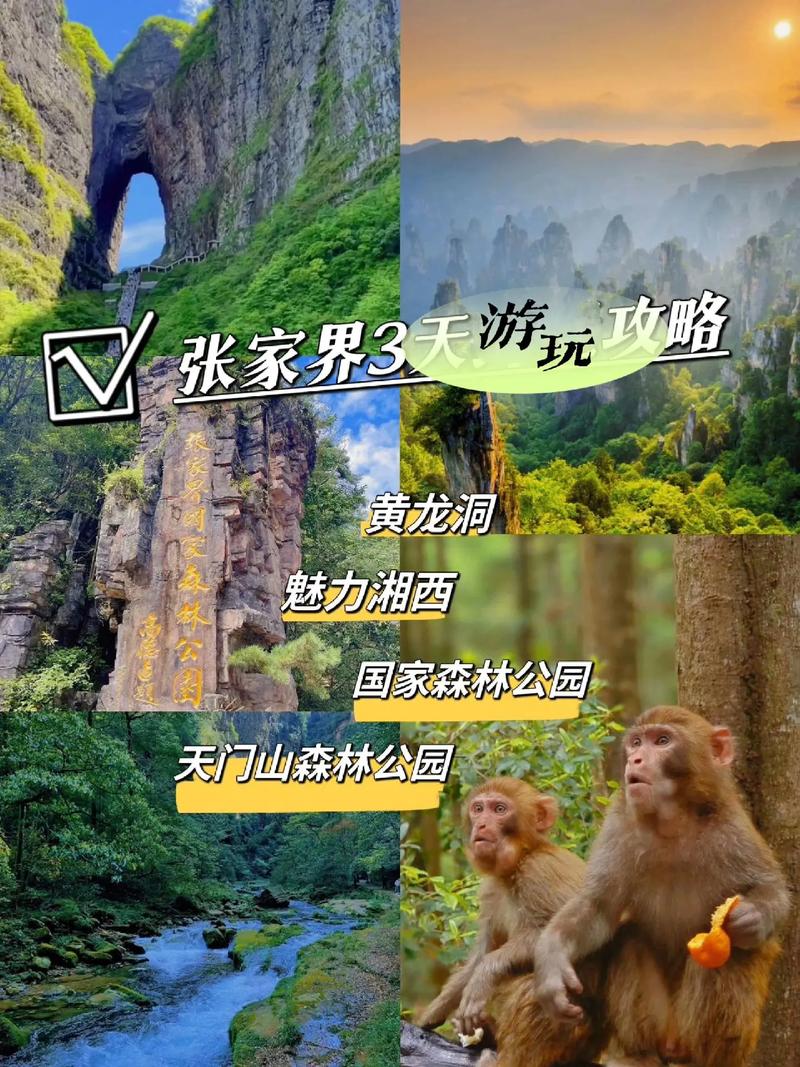 桑植三十天天气预报，桑植县天气40天  第1张