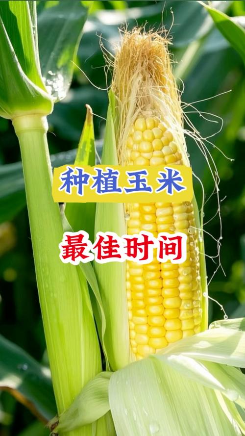 蛟河三十天天气预报，蛟河三十天天气预报15天  第3张