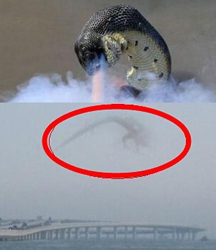 世界奇闻怪事真实？世界奇闻怪谈？  第5张