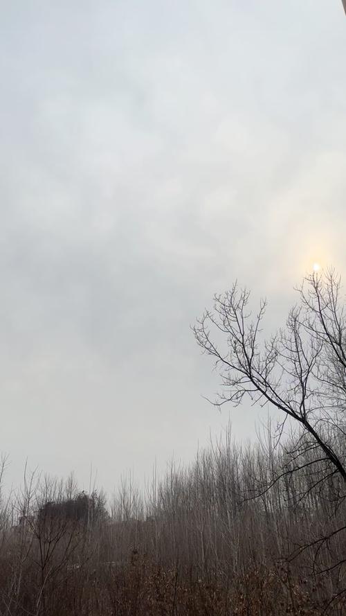 固始未来30天天气？固始未来一周的天气？  第1张