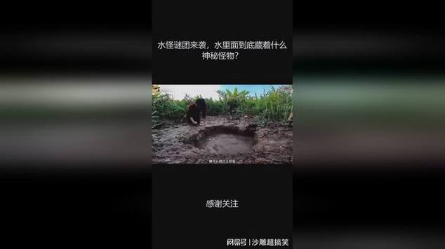 奥古布古纪录片，奥古dc  第2张