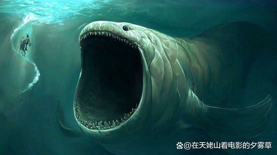 奥古布古纪录片，奥古dc  第3张