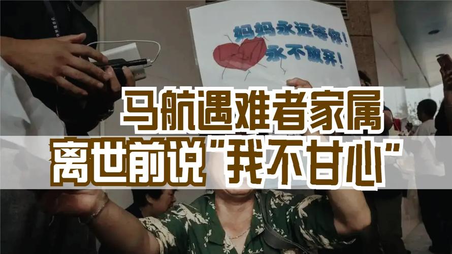 马航失踪真相惊人，马航失踪真相惊人是哪一集  第3张