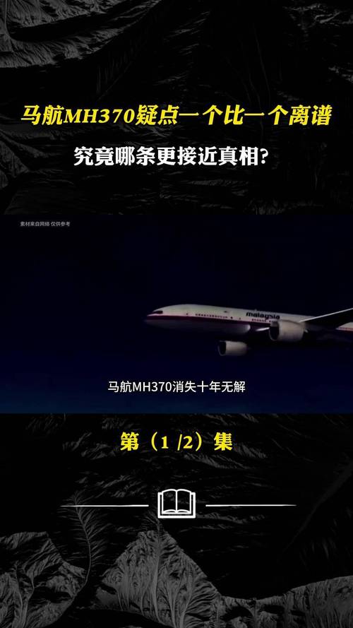 马航失踪真相惊人，马航失踪真相惊人是哪一集  第4张