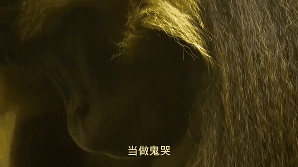 太湖冤魂事件是真的，九头蛇通行证多少钱  第4张