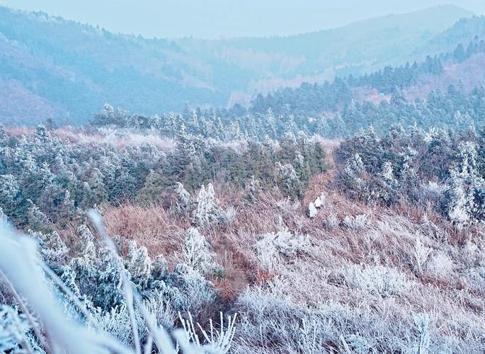 白山三天内天气预报，白山未来三天天气预报  第3张