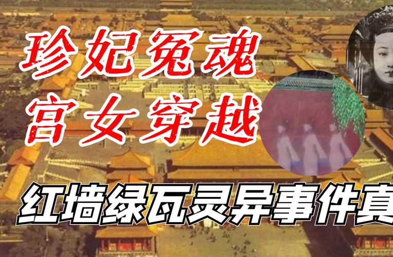 1978年发现的巨蟒渡劫，1975年巨型蟒蛇  第4张