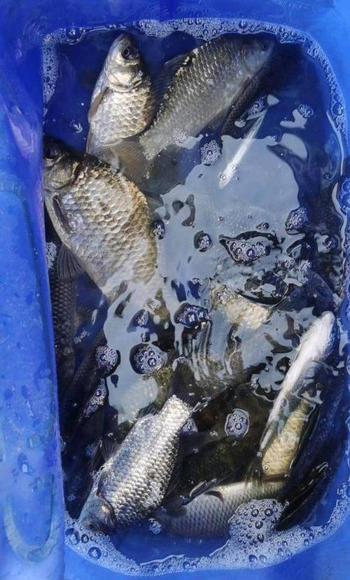 渑池15日天气预报，渑池预报天气十五天  第5张