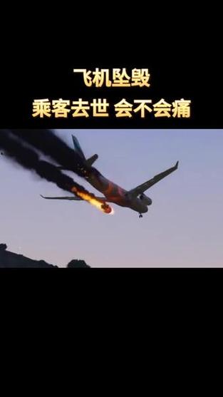 空难去世的人会死得很惨吗？空难能活吗？  第2张