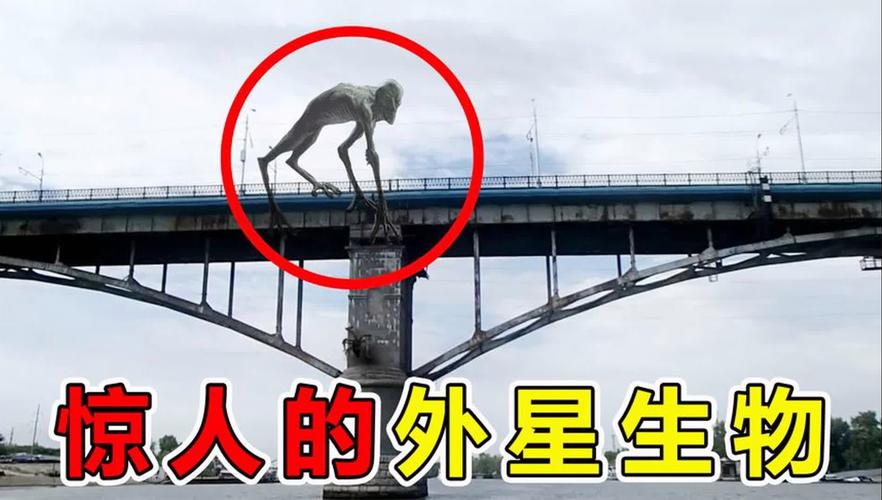 外星人图片飞碟图片，外星人图片真实？  第4张