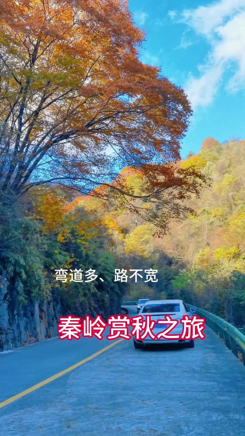 商洛商南县天气预报，商南县最新天气预报？  第3张