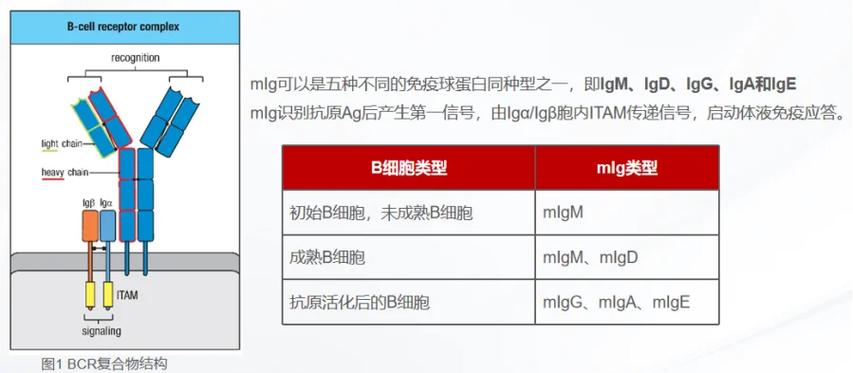 中国灵异事件调查局，中国灵异事件调查局最新消息？  第4张