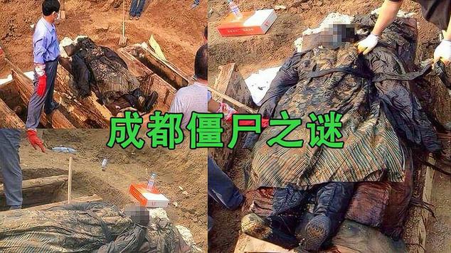 成都僵尸咬人视频，95年成都僵尸咬人视频？  第3张