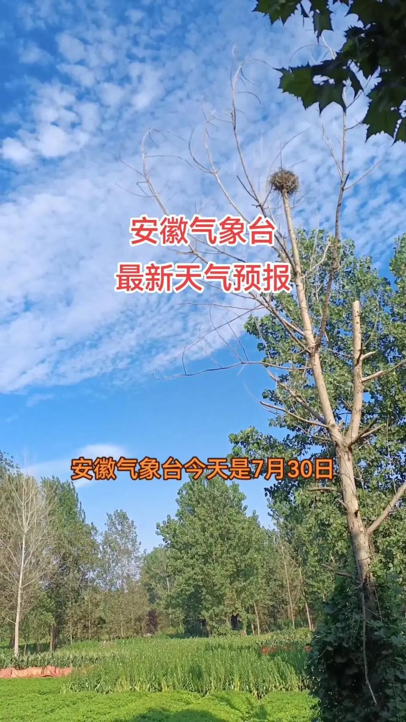 安庆天气715天，安庆7天天气预报？  第2张