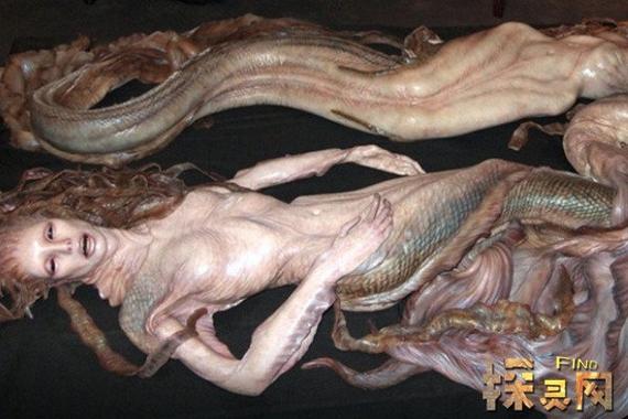世界上到底有没有美人鱼，中国最后一条美人鱼  第4张