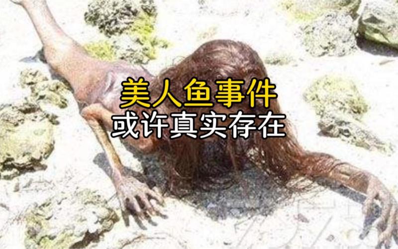 世界上到底有没有美人鱼，中国最后一条美人鱼  第6张