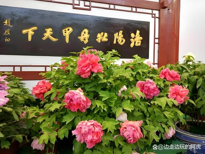 荷泽30天天气预报，山东省荷泽市天气  第1张
