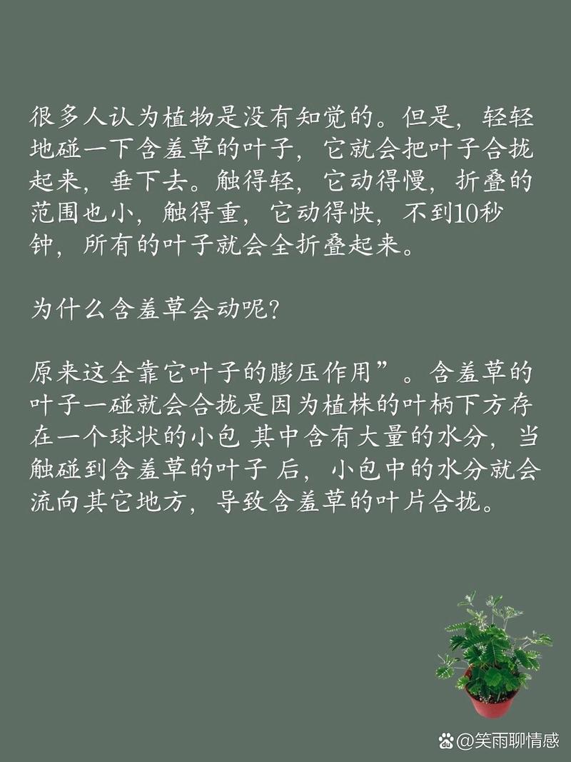 奇闻趣事冷知识，有趣的奇闻异事冷知识？  第1张