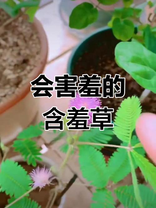 奇闻趣事冷知识，有趣的奇闻异事冷知识？  第2张