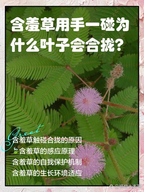 奇闻趣事冷知识，有趣的奇闻异事冷知识？  第3张