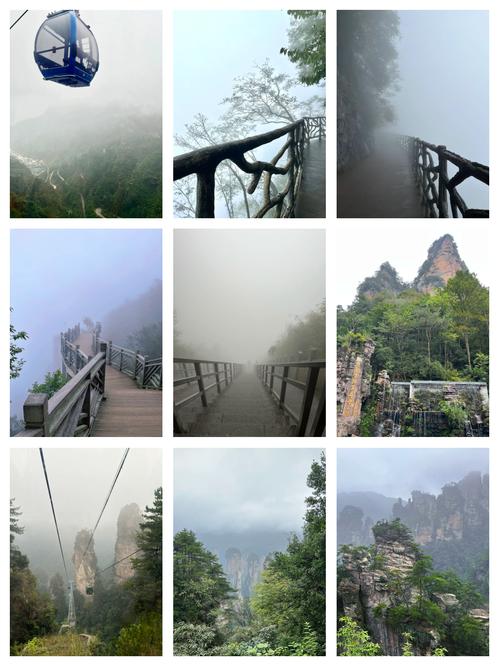 湖南张家界桑植天气，张家界桑植天气15天查询？  第6张
