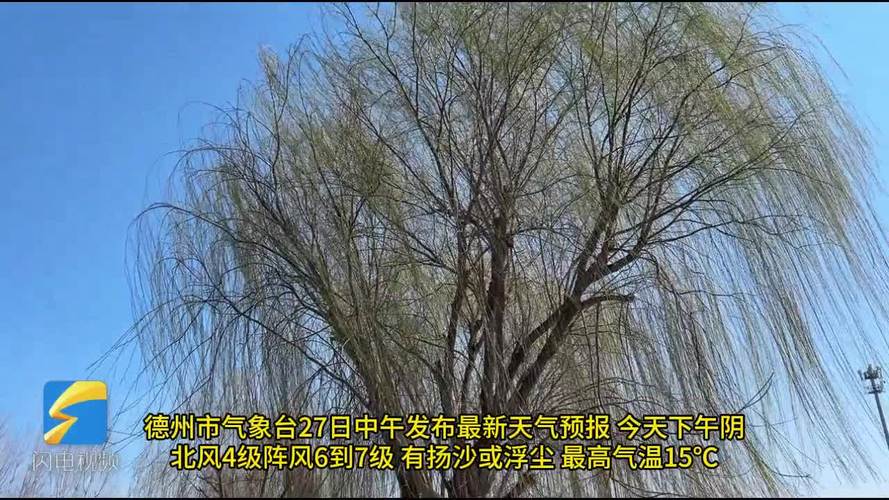洞头6月份天气预报，洞头历史天气查询九月份  第1张