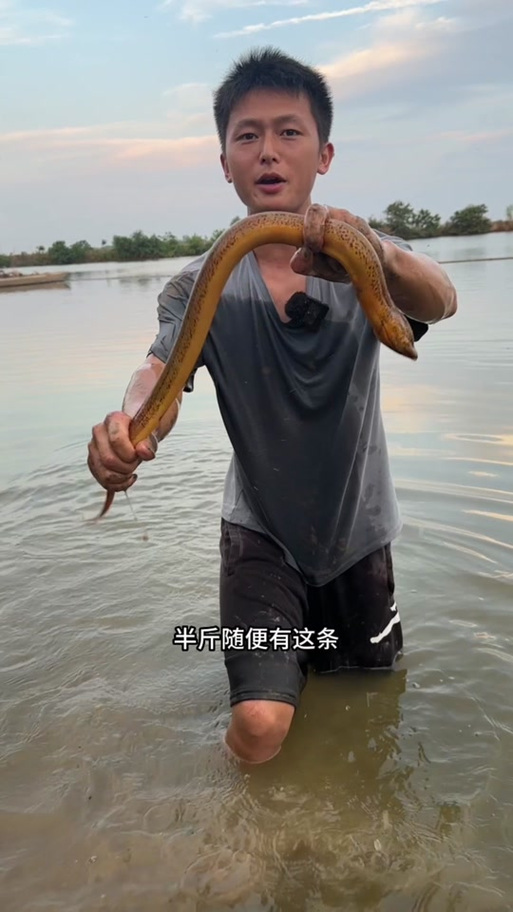 广东水猴子水鬼图片，湛江水猴子  第1张