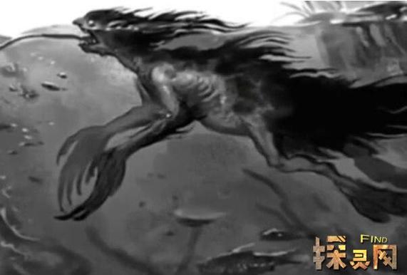 广东水猴子水鬼图片，湛江水猴子  第6张