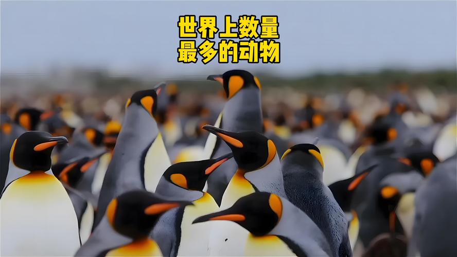 世界上比较多的动物排名榜？世界上比较多的动物有多少？  第1张