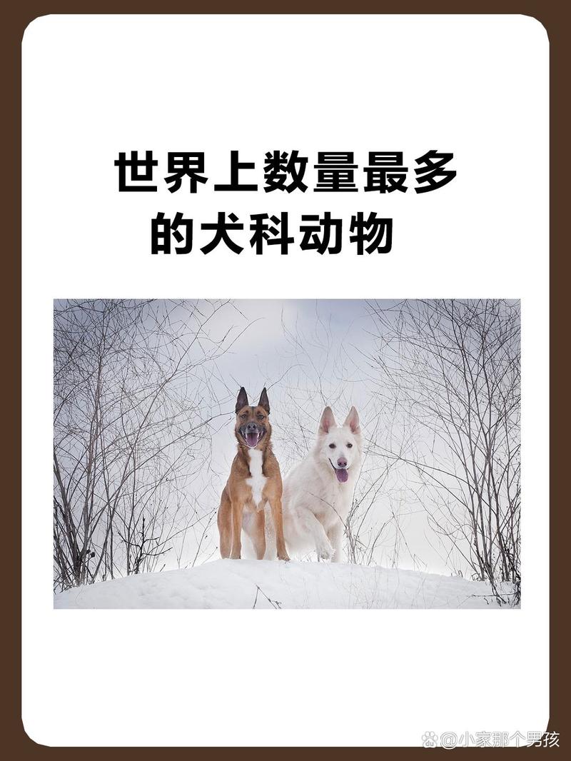 世界上比较多的动物排名榜？世界上比较多的动物有多少？  第3张