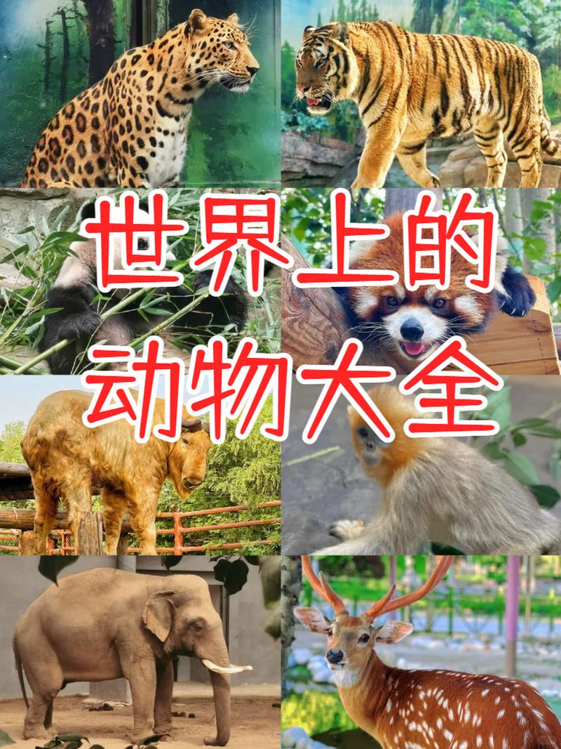 世界上比较多的动物排名榜？世界上比较多的动物有多少？  第6张