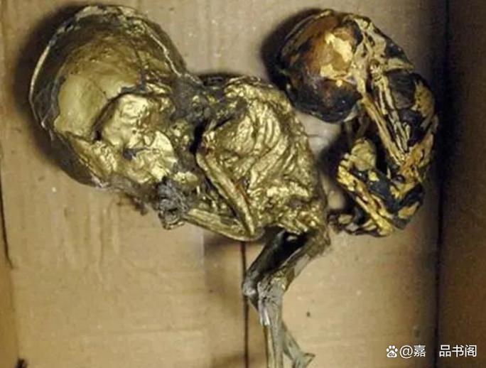 泰国小鬼长什么样子？泰国小鬼是什么？  第1张
