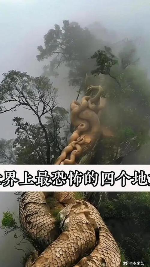 中国最诡异的100个禁地，中国最诡异的一片  第2张