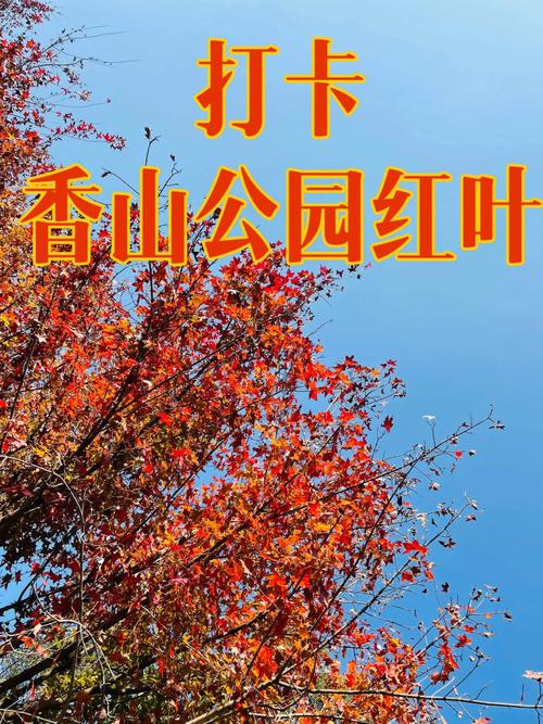 渭南韩城市天气预报，陕西渭南韩城市天气预报？  第3张