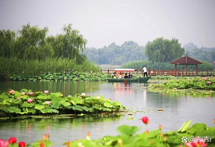 白洋淀景区今天天气？白洋淀天气15日查询？  第2张