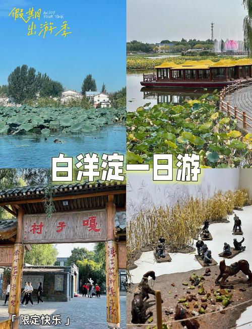 白洋淀景区今天天气？白洋淀天气15日查询？  第4张