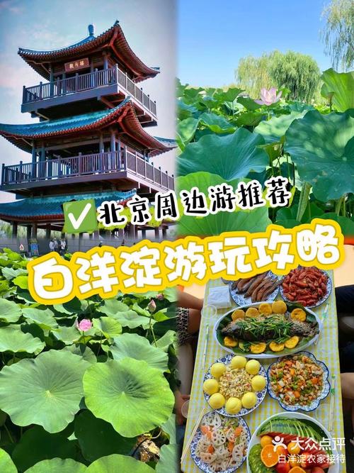 白洋淀景区今天天气？白洋淀天气15日查询？  第5张