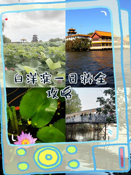 白洋淀景区今天天气？白洋淀天气15日查询？  第6张