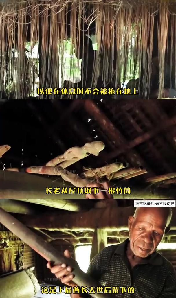 非洲象人大尺度视频，非洲象人的视频  第3张