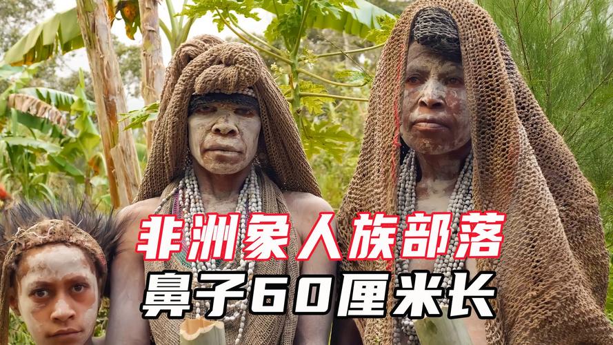 非洲象人大尺度视频，非洲象人的视频  第4张
