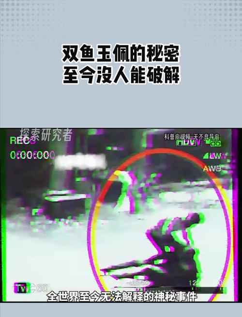 双鱼玉佩镜像人什么样子，双鱼玉佩镜像人照片？  第2张