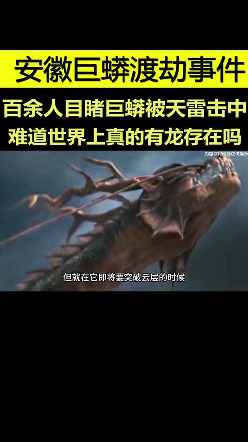 1995年的安徽巨蟒渡劫事件，1995年安徽巨蟒渡劫事件是真的吗？  第3张
