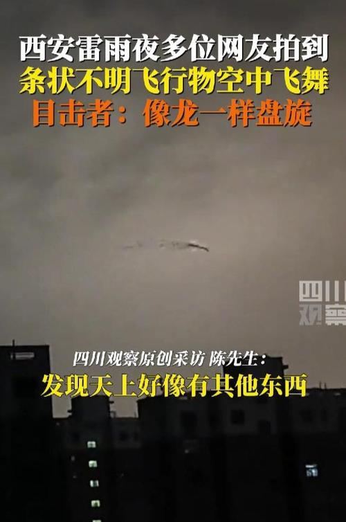 2010年现龙事件的简单介绍  第3张