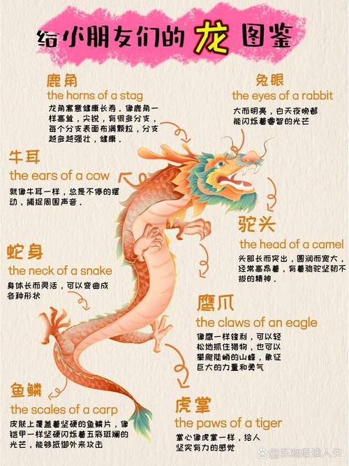 2010年现龙事件的简单介绍  第5张