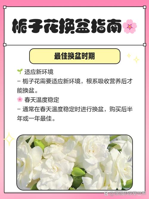 换花草之谜视频，换花草的真正秘密视频  第3张